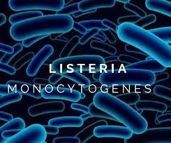 Listeria Control Concept